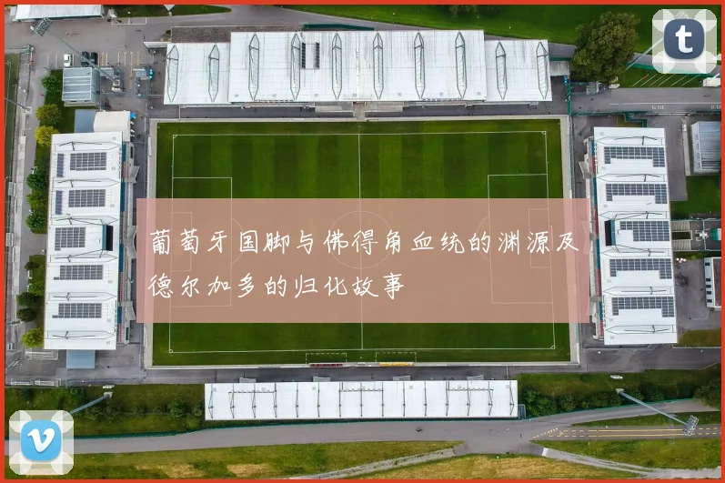 葡萄牙国脚与佛得角血统的渊源及德尔加多的归化故事